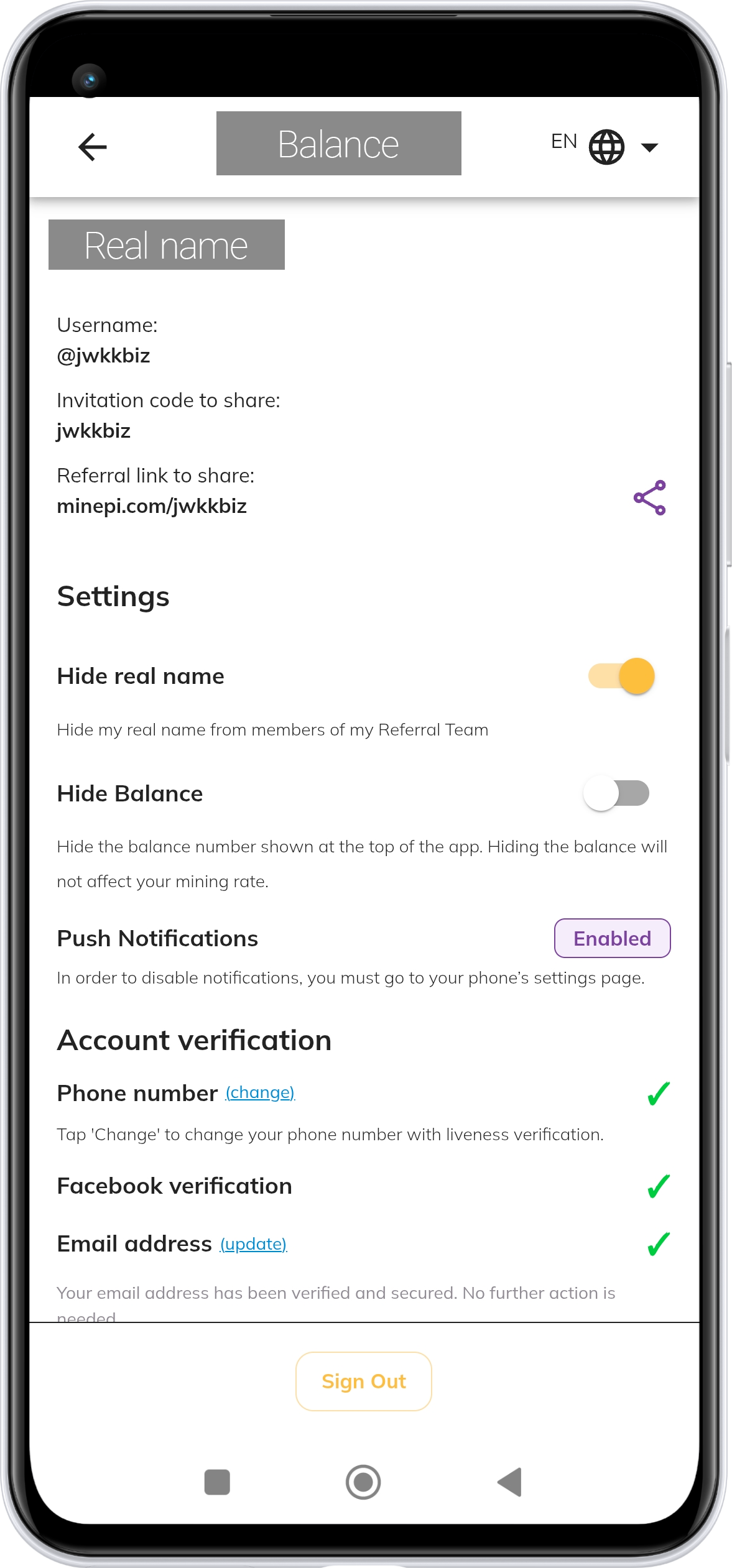 [EN](1.) Screen from the Pi Network application, what it should look like when everything is set up correctly